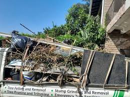 Best Property Management Cleanouts  in Nocatee, FL